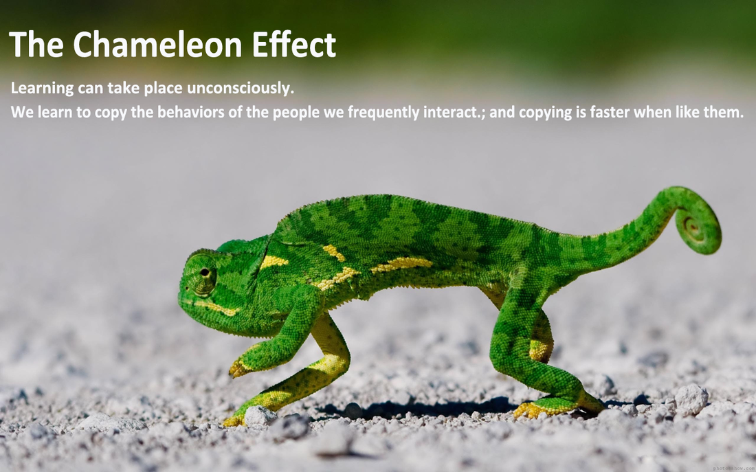 chameleoneffect - Ap psychology